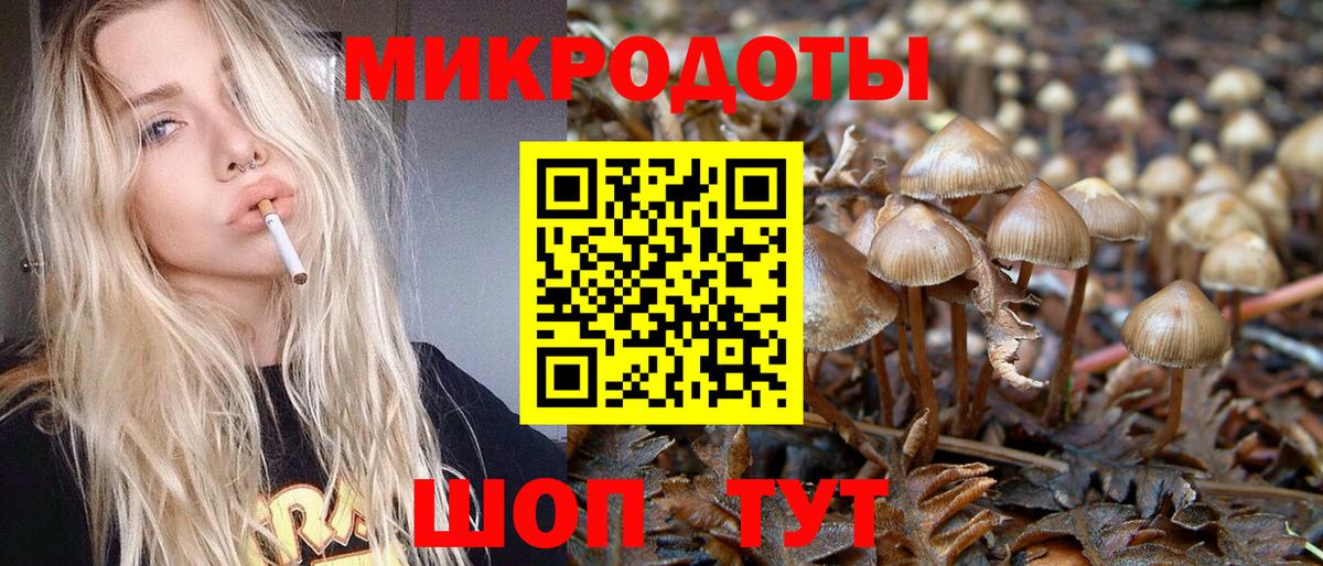 Галлюциногенные грибы прущие грибы  Галлюциногенные грибы мухоморы  Вход с VPN  Тобольск 