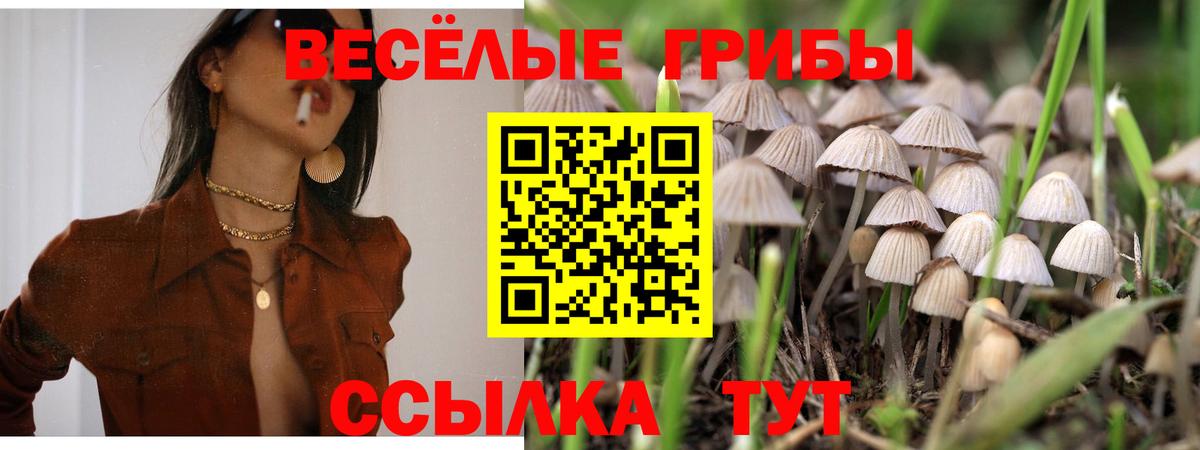 Бошки Шишки Тобольск
