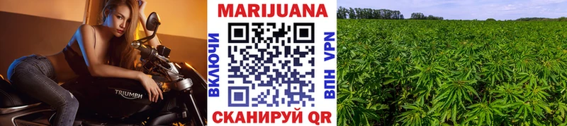 МАРИХУАНА сатива Тобольск